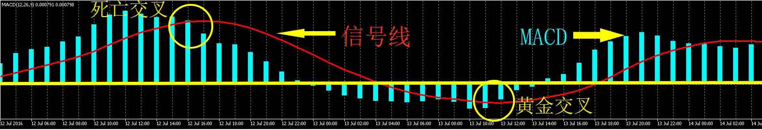 GTC泽汇