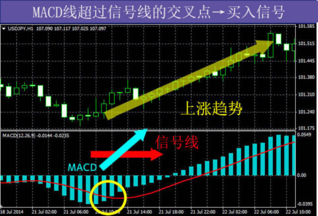 GTC泽汇